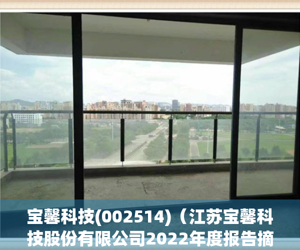 宝馨科技(002514)（江苏宝馨科技股份有限公司2022年度报告摘要）(江苏宝馨科技现任老板是谁)