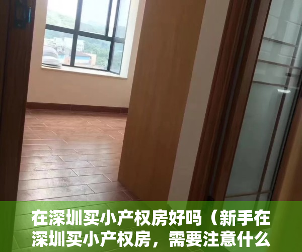 在深圳买小产权房好吗（新手在深圳买小产权房，需要注意什么特别事项？）