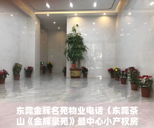 东莞金辉名苑物业电话（东莞茶山《金辉豪苑》最中心小产权房 2梯6户单价4500元起）