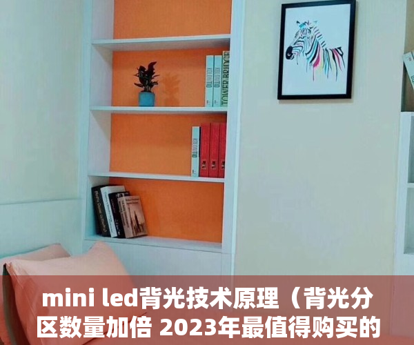 mini led背光技术原理（背光分区数量加倍 2023年最值得购买的Mini LED电视TCL Q10G Pro发布）