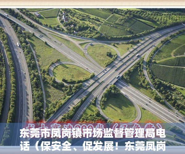 东莞市凤岗镇市场监督管理局电话（保安全、促发展！东莞凤岗镇安全生产工作推进会召开）