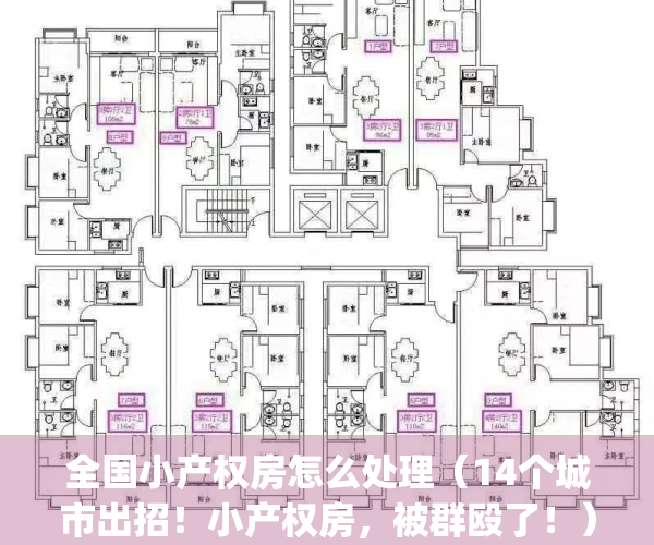 全国小产权房怎么处理（14个城市出招！小产权房，被群殴了！）(我国小产权房的现状与出路)
