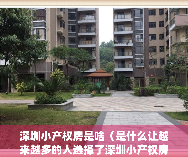 深圳小产权房是啥（是什么让越来越多的人选择了深圳小产权房）(深圳的小产权房是什么意思)