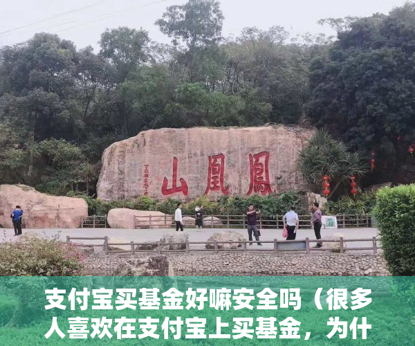 支付宝买基金好嘛安全吗（很多人喜欢在支付宝上买基金，为什么？在支付宝上买基金靠谱吗？）