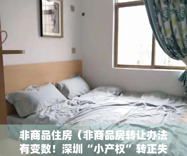 非商品住房（非商品房转让办法有变数！深圳“小产权”转正失败？）(非商品房可以过户吗)