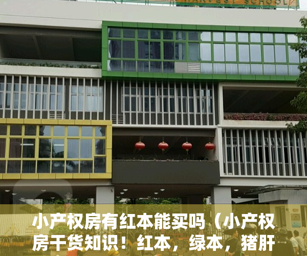 小产权房有红本能买吗（小产权房干货知识！红本，绿本，猪肝本，两证一书，历史遗留（建议收藏））