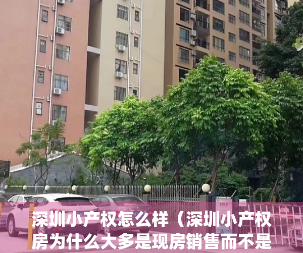 深圳小产权怎么样（深圳小产权房为什么大多是现房销售而不是预售）(深圳的小产权房是什么意思)