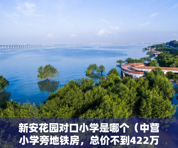 新安花园对口小学是哪个（中营小学旁地铁房，总价不到422万，新安花园到底能不能买？）