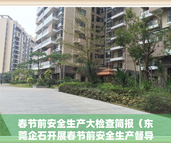 春节前安全生产大检查简报（东莞企石开展春节前安全生产督导检查工作）