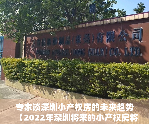 专家谈深圳小产权房的未来趋势（2022年深圳将来的小产权房将何去何从）