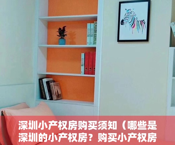 深圳小产权房购买须知（哪些是深圳的小产权房？购买小产权房要注意什么？）