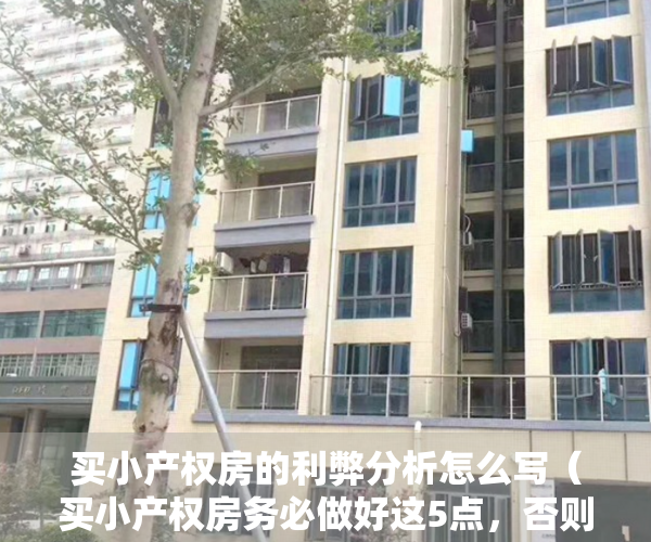 买小产权房的利弊分析怎么写（买小产权房务必做好这5点，否则风险很大！）