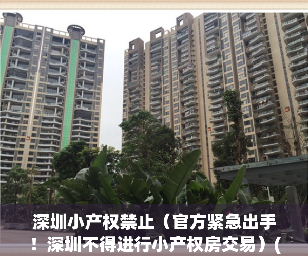 深圳小产权禁止（官方紧急出手！深圳不得进行小产权房交易）(深圳叫停小产权房)