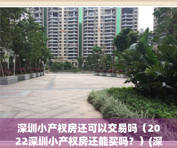 深圳小产权房还可以交易吗（2022深圳小产权房还能买吗？）(深圳小产权房还能卖吗)