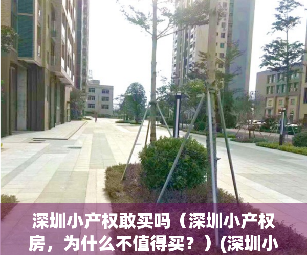 深圳小产权敢买吗（深圳小产权房，为什么不值得买？）(深圳小产权能买吗)