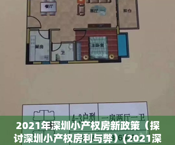 2021年深圳小产权房新政策（探讨深圳小产权房利与弊）(2021深圳小产权房最新政策)