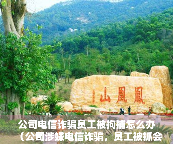 公司电信诈骗员工被拘捕怎么办（公司涉嫌电信诈骗，员工被抓会判刑吗？）