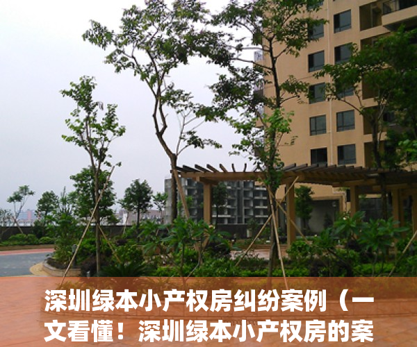深圳绿本小产权房纠纷案例（一文看懂！深圳绿本小产权房的案例！）(深圳小产权两证一书和绿本)