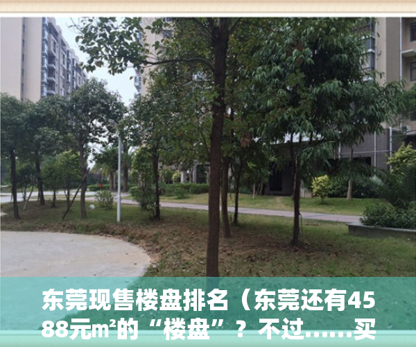 东莞现售楼盘排名（东莞还有4588元㎡的“楼盘”？不过……买到的人要哭了！）
