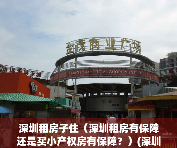 深圳租房子住（深圳租房有保障还是买小产权房有保障？）(深圳租房租公寓还是民房)