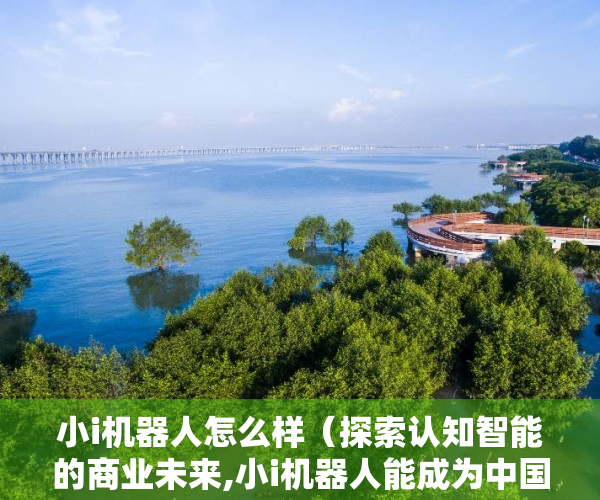 小i机器人怎么样（探索认知智能的商业未来,小i机器人能成为中国版的ChatGPT吗）