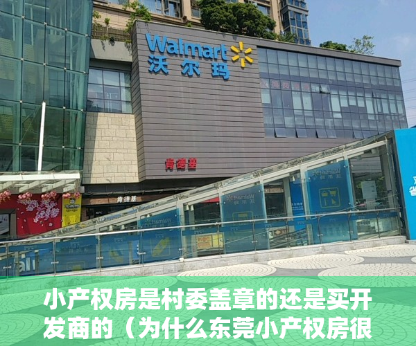 小产权房是村委盖章的还是买开发商的（为什么东莞小产权房很多都没村委盖章呢？）