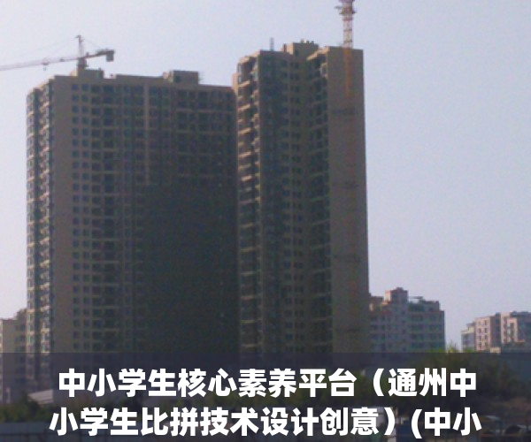 中小学生核心素养平台（通州中小学生比拼技术设计创意）(中小学核心素养发展水平评价表)