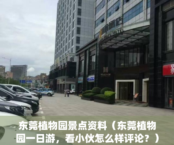 东莞植物园景点资料（东莞植物园一日游，看小伙怎么样评论？）(东莞植物园旅游攻略)