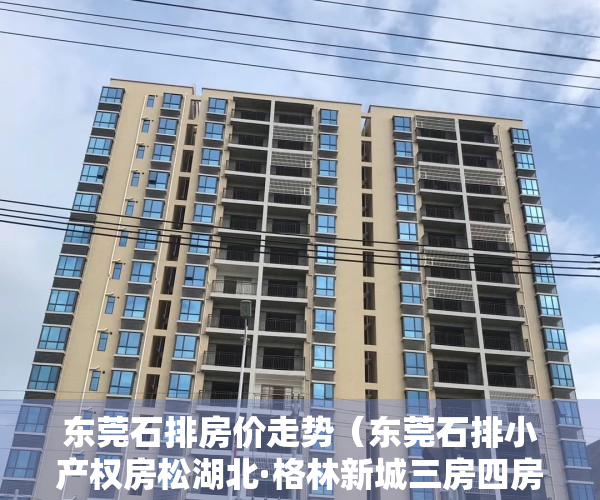 东莞石排房价走势（东莞石排小产权房松湖北·格林新城三房四房居家户型）
