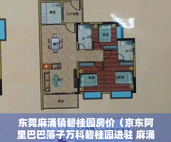 东莞麻涌镇碧桂园房价（京东阿里巴巴落子万科碧桂园进驻 麻涌楼市要火了？）