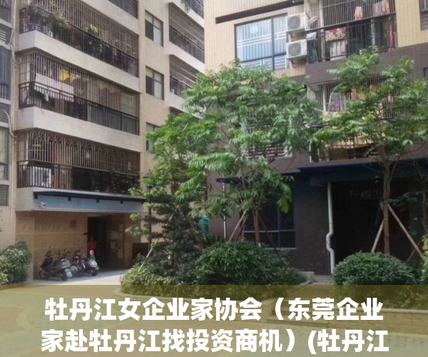 牡丹江女企业家协会（东莞企业家赴牡丹江找投资商机）(牡丹江商会北京会长)