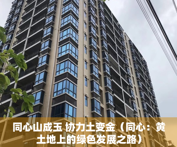 同心山成玉 协力土变金（同心：黄土地上的绿色发展之路）