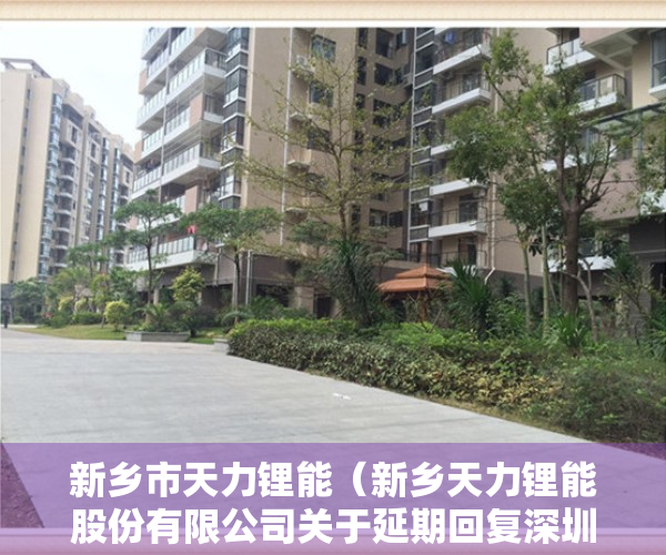 新乡市天力锂能（新乡天力锂能股份有限公司关于延期回复深圳证券交易所关注函的公告）