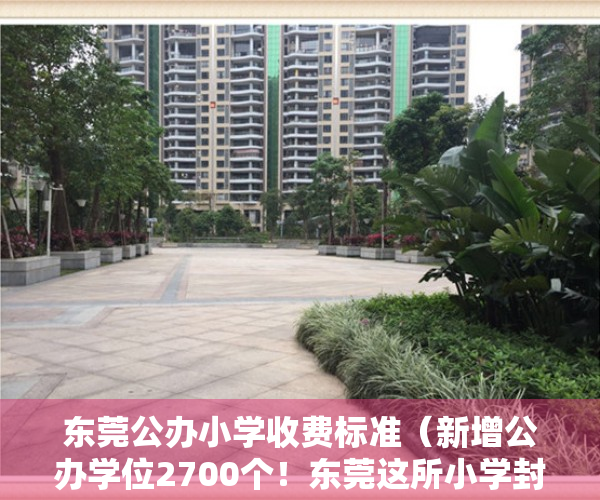 东莞公办小学收费标准（新增公办学位2700个！东莞这所小学封顶，9月将投用）