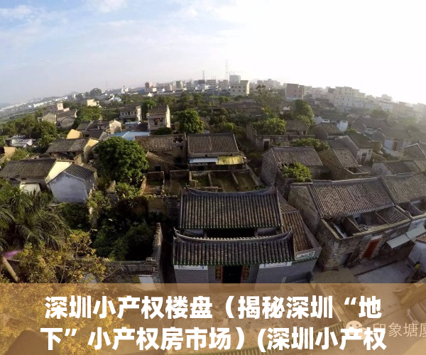 深圳小产权楼盘（揭秘深圳“地下”小产权房市场）(深圳小产权暴跌)