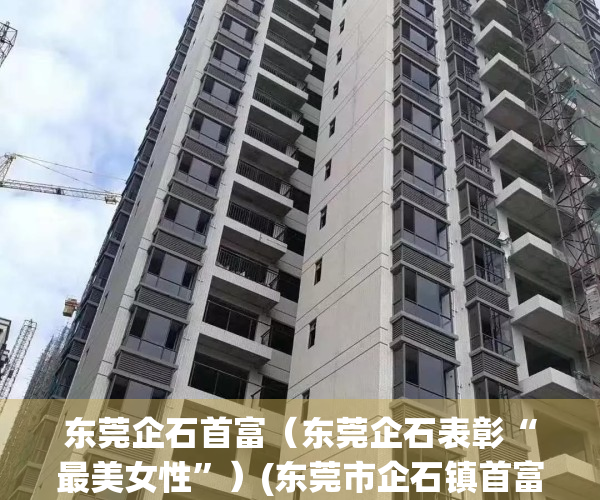 东莞企石首富（东莞企石表彰“最美女性”）(东莞市企石镇首富是谁)