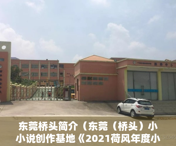 东莞桥头简介（东莞（桥头）小小说创作基地《2021荷风年度小小说》出版）