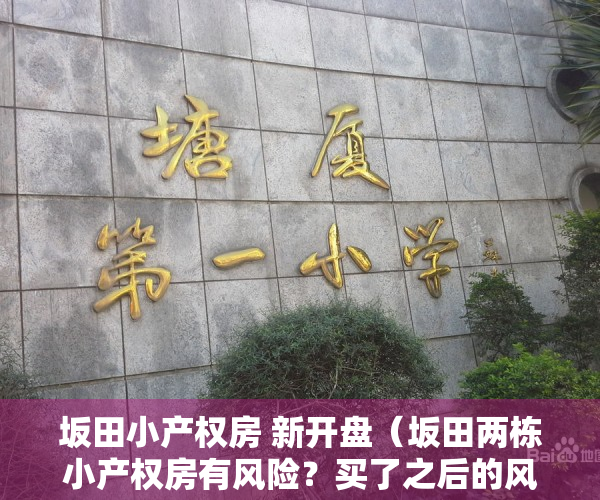 坂田小产权房 新开盘（坂田两栋小产权房有风险？买了之后的风险你能承受吗？）