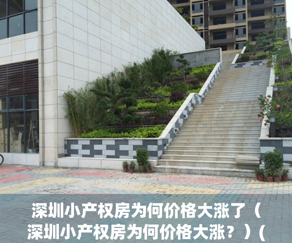 深圳小产权房为何价格大涨了（深圳小产权房为何价格大涨？）(深圳小产权房房价涨得好快)