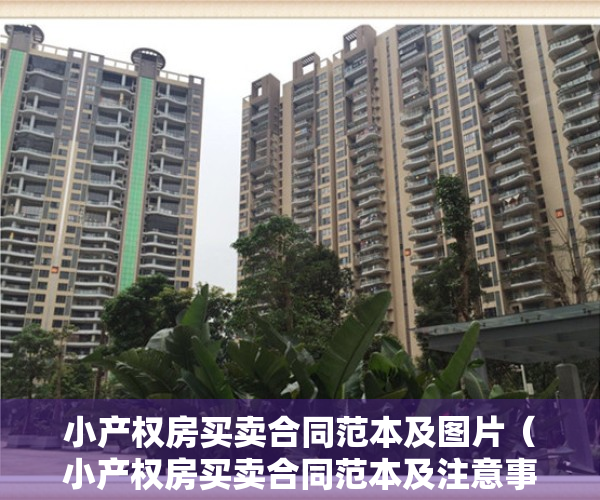 小产权房买卖合同范本及图片（小产权房买卖合同范本及注意事项）