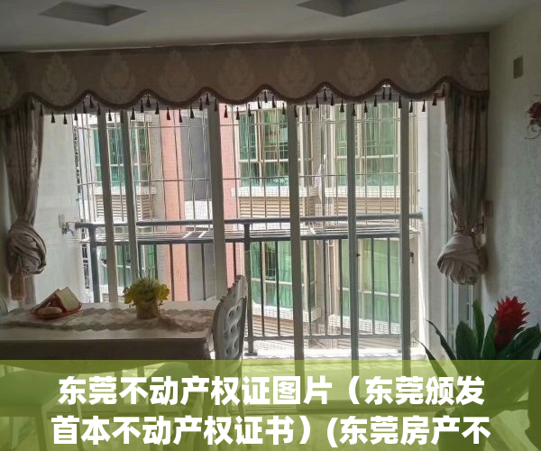 东莞不动产权证图片（东莞颁发首本不动产权证书）(东莞房产不动产权登记)