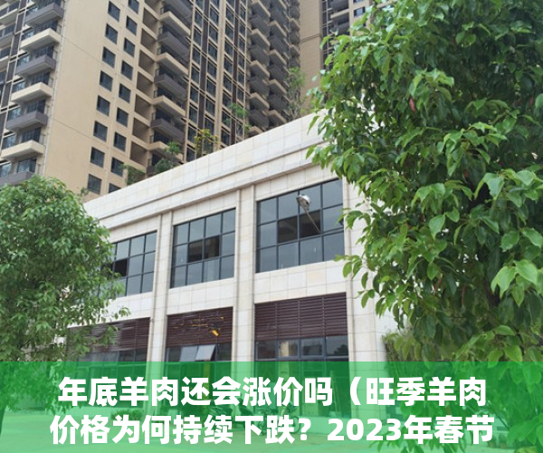 年底羊肉还会涨价吗（旺季羊肉价格为何持续下跌？2023年春节前还能涨吗？）