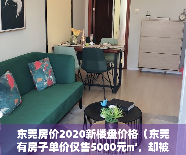 东莞房价2020新楼盘价格（东莞有房子单价仅售5000元㎡，却被相关部门查封！因为）