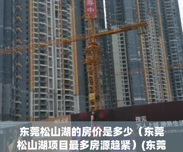 东莞松山湖的房价是多少（东莞松山湖项目最多房源趋紧）(东莞松山湖房价多少钱一平)