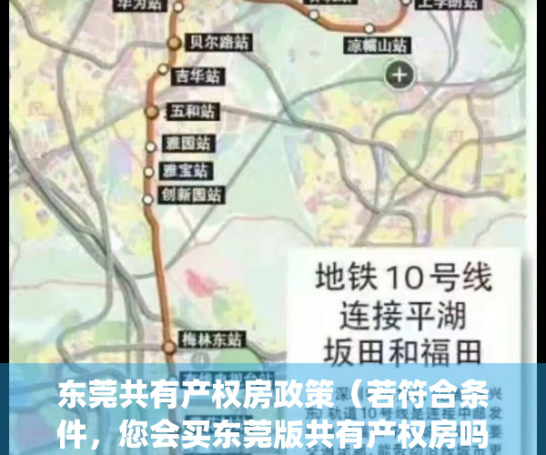 东莞共有产权房政策（若符合条件，您会买东莞版共有产权房吗？）(东莞共有产权房摇号结果)