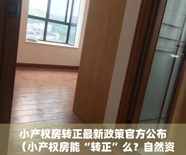 小产权房转正最新政策官方公布（小产权房能“转正”么？自然资源部说No）