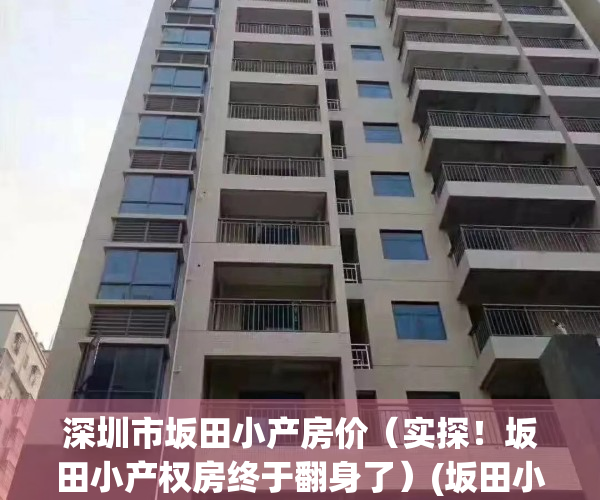 深圳市坂田小产房价（实探！坂田小产权房终于翻身了）(坂田小产权房出售新房)