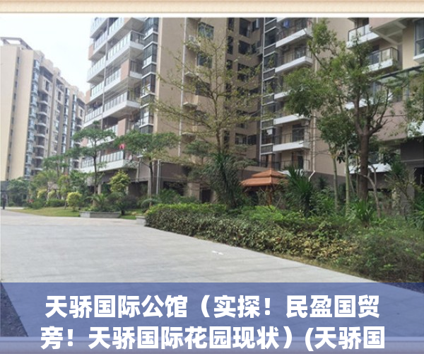 天骄国际公馆（实探！民盈国贸旁！天骄国际花园现状）(天骄国际属于哪个街道)