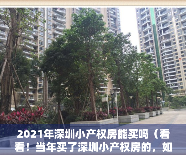 2021年深圳小产权房能买吗（看看！当年买了深圳小产权房的，如今都怎么样了！）