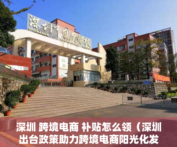 深圳 跨境电商 补贴怎么领（深圳出台政策助力跨境电商阳光化发展）